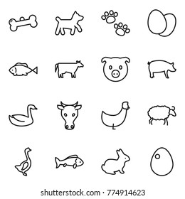 Thin line icon set : bone, dog, pets, eggs, fish, cow, pig, goose, chicken, sheep, rabbit, egg