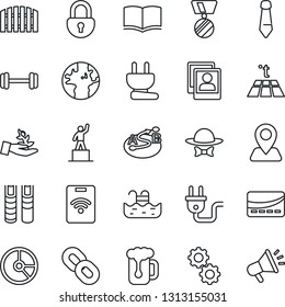 Thin Line Icon Set - book vector, pedestal, medal, tie, circle chart, barbell, navigation, earth, route, chain, lock, photo gallery, pool, fence, beer, dress code, credit card, power plug, gear