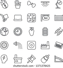 Thin Line Icon Set - brainstorm vector, stamp, flower in pot, watering, fireplace, real heart, broken bone, cargo container, clock, barcode, flame disk, battery, rec button, rca, drawing pin, rent