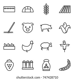 thin line icon set : bunker, greenhouse, spikelets, field, rake, pig, corn, seedling, chicken, sheep, scarecrow, strawberry, grain elevator, fertilizer, peas