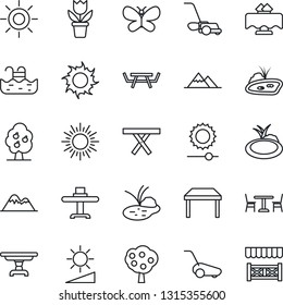 Thin Line Icon Set - cafe vector, sun, flower in pot, lawn mower, butterfly, pond, picnic table, brightness, pool, fruit tree, mountains, restaurant, alcove