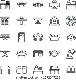 Thin Line Icon Set - cafe vector, reception, flight table, medical room, desk, meeting, manager place, picnic, lamp, restaurant, serviette, reserved, salt and pepper