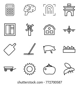 Thin line icon set : calculator, brain, fingerprint, arch, window, windmill, house, plane, cutting board, rake, pig, seedling, trailer, sun, tomato, wasp