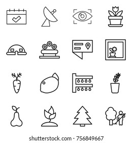 Thin line icon set : calendar, satellite antenna, eye identity, flower, dome house, bed, location details, in window, carrot, lemon, watering, seedling, pear, sprouting, spruce, garden cleaning