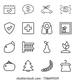 Thin line icon set : calendar, money message, eco car, eye identity, protected, first aid, life vest, flower in window, lemon, watering, pear, sprouting, tomato, spruce, peas, hanger