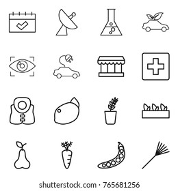 Thin line icon set : calendar, satellite antenna, flask, eco car, eye identity, electric, market, first aid, life vest, lemon, seedling, pear, carrot, peas, rake