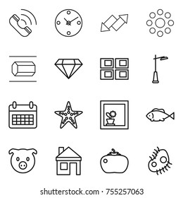 thin line icon set : call, clock, up down arrow, round around, nano tube, diamond, panel house, outdoor light, calendar, starfish, flower in window, fish, pig, tomato, microb