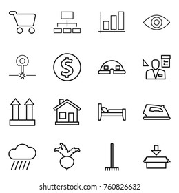 Thin line icon set : cart, hierarchy, graph, eye, laser, dollar coin, dome house, architector, cargo top sign, home, bed, iron, rain cloud, beet, rake, package