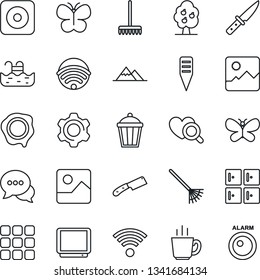 Thin Line Icon Set - checkroom vector, stamp, rake, butterfly, plant label, garden light, heart diagnostic, tv, dialog, rec button, menu, gallery, settings, pool, fruit tree, mountains, wireless