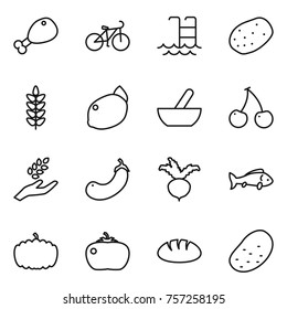 Thin line icon set : chicken leg, bike, pool, potato, spikelets, lemon, mortar, cherry, harvest, eggplant, beet, fish, pumpkin, tomato, bread