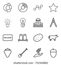 thin line icon set : circle diagram, graph, star, bulb, mansion, drawing compasses, welcome mat, salt pepper, potato, cow, berry, shovel, harvest, acorn