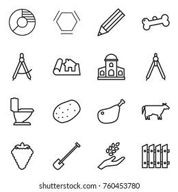 Thin line icon set : circle diagram, hex molecule, pencil, bone, draw compass, project, mansion, drawing compasses, toilet, potato, chicken leg, cow, berry, shovel, harvest, fence
