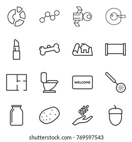 Thin line icon set : circle diagram, graph, satellite, cell corection, lipstick, bone, project, fence, plan, toilet, welcome mat, skimmer, bank, potato, harvest, acorn