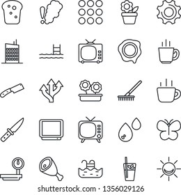 Thin Line Icon Set - coffee vector, stamp, flower in pot, rake, butterfly, route, heavy scales, tv, menu, settings, pool, city house, phyto bar, bread, ham, knife, water, smoke detector, alarm led