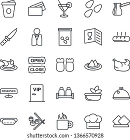 Thin Line Icon Set - coffee vector, seeds, waiter, dish, serviette, cook hat, wine card, reserved, cocktail, salad, salt and pepper, bread, vip zone, open close, credit, chicken, hot dog, knife