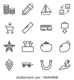 Thin line icon set : coin stack, pencil, boat, notebook connect, add to cart, level, bus, baggage get, starfish, repair tools, tomato, lemon, grape, trailer, horseshoe, hand leaf