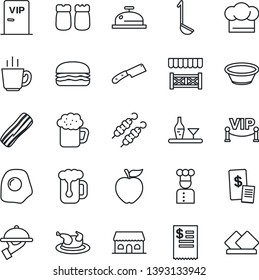 Thin Line Icon Set - cook vector, alcohol, hat, reception, coffee, beer, bacon, waiter, salt and pepper, cafe building, vip zone, alcove, restaurant receipt, chicken, kebab, hamburger, ladle, bowl