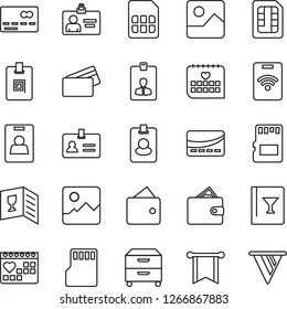 Thin Line Icon Set - credit card vector, identity, medical calendar, gallery, sd, sim, archive box, wine, pass, wallet, pennon