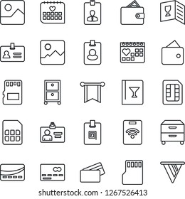 Thin Line Icon Set - credit card vector, identity, medical calendar, gallery, sd, sim, archive box, wine, pass, wallet, pennon