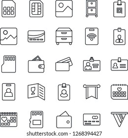 Thin Line Icon Set - credit card vector, identity, medical calendar, gallery, sd, sim, archive box, wine, pass, wallet, pennon