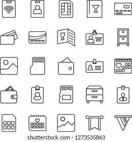 Thin Line Icon Set - credit card vector, identity, medical calendar, gallery, sd, sim, archive box, wine, pass, wallet, pennon