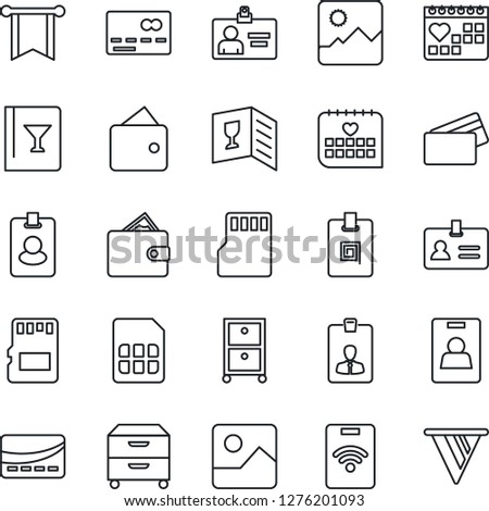 Thin Line Icon Set - credit card vector, identity, medical calendar, gallery, sd, sim, archive box, wine, pass, wallet, pennon