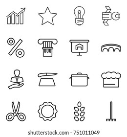 thin line icon set : diagram, star, bulb, satellite, percent, column, presentation, bridge, client, cutting board, pan, chief hat, scissors, induction oven, spikelets, rake
