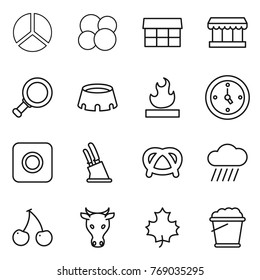 Thin line icon set : diagram, atom core, market, magnifier, stadium, flammable, watch, ring button, knife holder, pretzel, rain cloud, cherry, cow, maple leaf, foam bucket