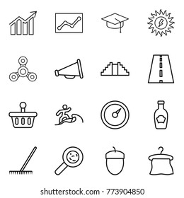 Thin line icon set : diagram, statistics, graduate hat, sun power, spinner, loudspeaker, pyramid, road, basket, surfer, barometer, ketchup, rake, viruses, acorn, hanger