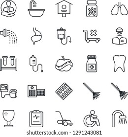Thin Line Icon Set - disabled vector, rake, watering, lawn mower, bird house, blood pressure, test vial, dropper, pills bottle, blister, stomach, lungs, tooth, pulse clipboard, diet, hospital