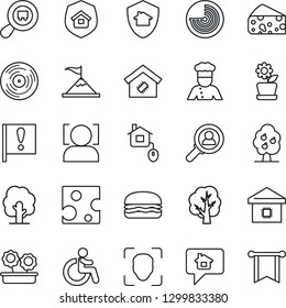 Thin Line Icon Set - disabled vector, radar, tree, important flag, search cargo, vinyl, face id, fruit, smart home, flower in pot, estate insurance, cook, hamburger, cheese, control, protect, pennon