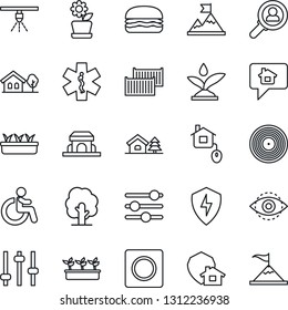 Thin Line Icon Set - disabled vector, tree, seedling, ambulance star, cargo container, vinyl, protect, tuning, record, eye id, house with, flower in pot, cafe building, hamburger, home control