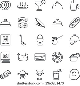 Thin Line Icon Set - dish vector, cafe, menu, reception, cocktail, phyto bar, coffee, plates, bacon, waiter, egg stand, bread, dress code, open close, credit card, chicken, hot dog, ladle, turkish
