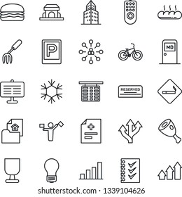 Thin Line Icon Set - dispatcher vector, parking, smoking place, flight table, medical room, hierarchy, bulb, garden fork, diagnosis, bike, route, fragile, presentation board, office building, bread