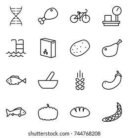 thin line icon set : dna, chicken leg, bike, warehouse scales, pool, cereals, potato, fish, mortar, spikelets, eggplant, pumpkin, bread, peas