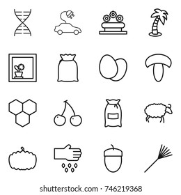 thin line icon set : dna, electric car, flower bed, palm, in window, flour, eggs, mushroom, honeycombs, cherry, sheep, pumpkin, sow, acorn, rake