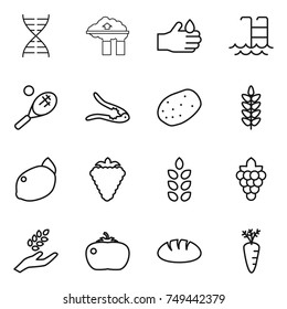 thin line icon set : dna, factory filter, acid, pool, tennis, walnut crack, potato, spikelets, lemon, berry, grape, harvest, tomato, bread, carrot