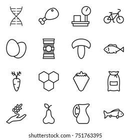thin line icon set : dna, chicken leg, warehouse scales, bike, eggs, pasta, mushroom, fish, carrot, honeycombs, berry, flour, harvest, pear, jug
