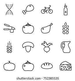 thin line icon set : dna, chicken leg, bike, vegetable oil, garlic clasp, tomato, spikelets, mushroom, beet, jug, pumpkin, bread, cheese
