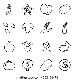 thin line icon set : dna modify, starfish, eggs, potato, seeds, mushroom, harvest, seedling, apple, beet, sprouting, rabbit, tomato, garden, ecology