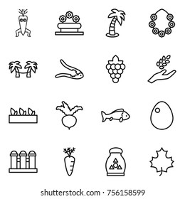 Thin line icon set : dna modify, flower bed, palm, hawaiian wreath, hammock, walnut crack, grape, harvest, seedling, beet, fish, egg, grain elevator, carrot, fertilizer, maple leaf