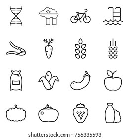 Thin line icon set : dna, factory filter, bike, pool, walnut crack, carrot, spikelets, flour, corn, eggplant, apple, pumpkin, tomato, strawberry, shampoo