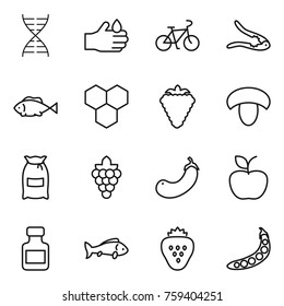 Thin line icon set : dna, acid, bike, walnut crack, fish, honeycombs, berry, mushroom, flour, grape, eggplant, apple, pills bottle, strawberry, peas