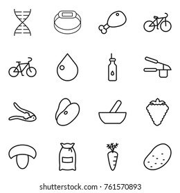 Thin line icon set : dna, smart bracelet, chicken leg, bike, drop, vegetable oil, garlic clasp, walnut crack, beans, mortar, berry, mushroom, flour, carrot, potato
