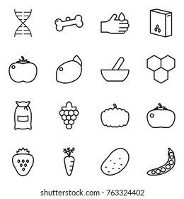 Thin line icon set : dna, bone, acid, cereals, tomato, lemon, mortar, honeycombs, flour, grape, pumpkin, strawberry, carrot, potato, peas