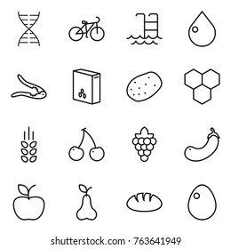 Thin line icon set : dna, bike, pool, drop, walnut crack, cereals, potato, honeycombs, spikelets, cherry, grape, eggplant, apple, pear, bread, egg