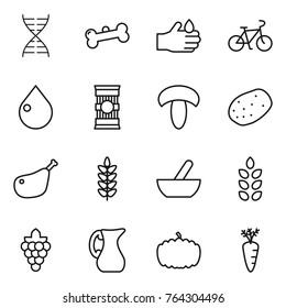 Thin line icon set : dna, bone, acid, bike, drop, pasta, mushroom, potato, chicken leg, spikelets, mortar, grape, jug, pumpkin, carrot