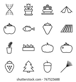 Thin line icon set : dna, flower, bed, tent, tomato, fish, berry, field, seedling, pumpkin, strawberry, spruce, acorn, rake