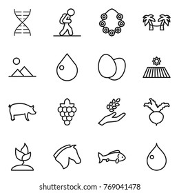 Thin line icon set : dna, tourist, hawaiian wreath, palm hammock, landscape, drop, eggs, field, pig, grape, harvest, beet, sprouting, horse, fish