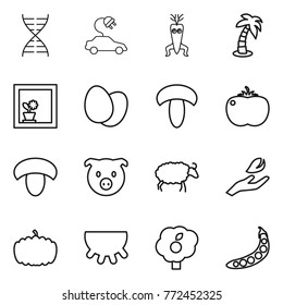 Thin line icon set : dna, electric car, modify, palm, flower in window, eggs, mushroom, tomato, pig, sheep, hand leaf, pumpkin, udder, garden, peas